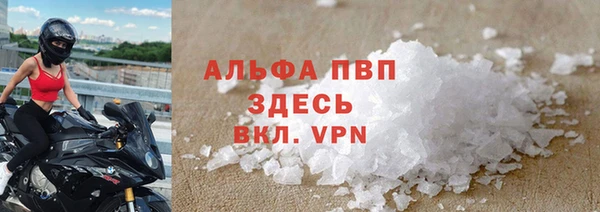 сатива Абинск