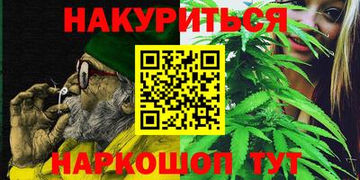 Альфа ПВП Ярославль