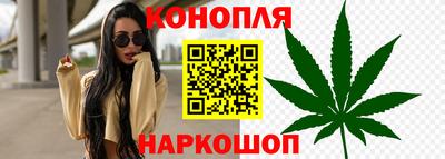 Альфа ПВП Ярославль