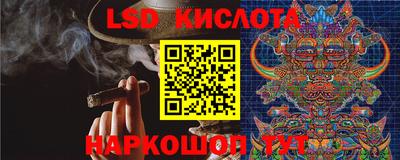 Альфа ПВП Ярославль
