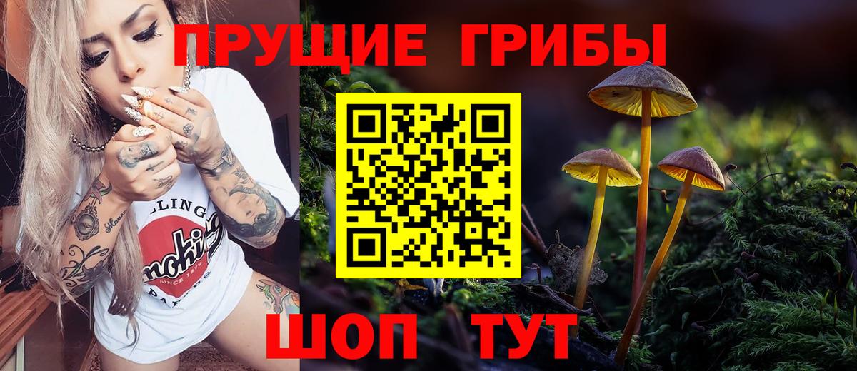 Галлюциногенные грибы MAGIC MUSHROOMS Архангельск