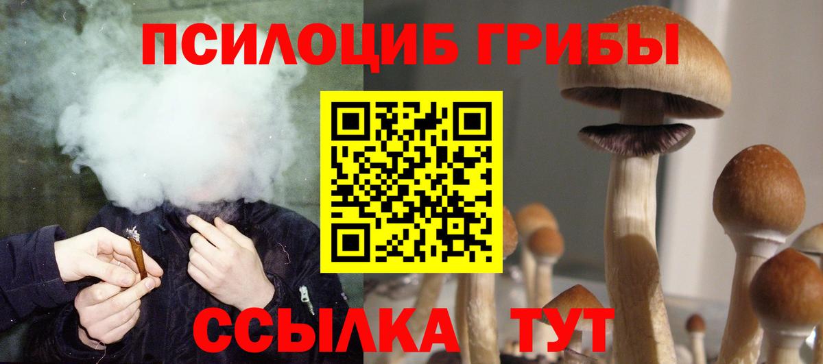 Галлюциногенные грибы ЛСД  Вход с VPN  Архангельск  Галлюциногенные грибы прущие грибы 